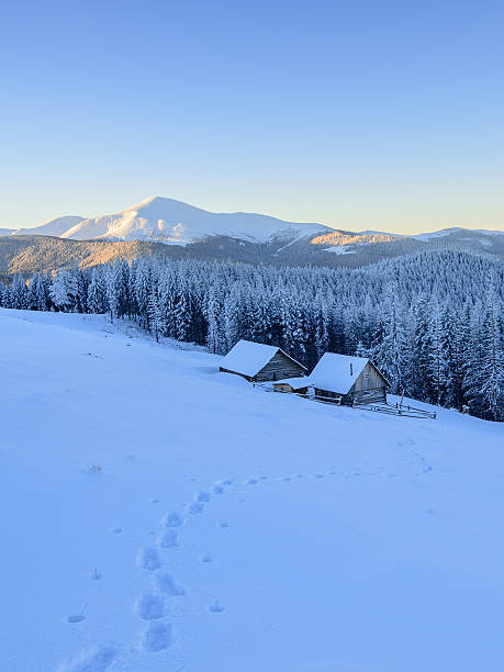Winter morning stock photo