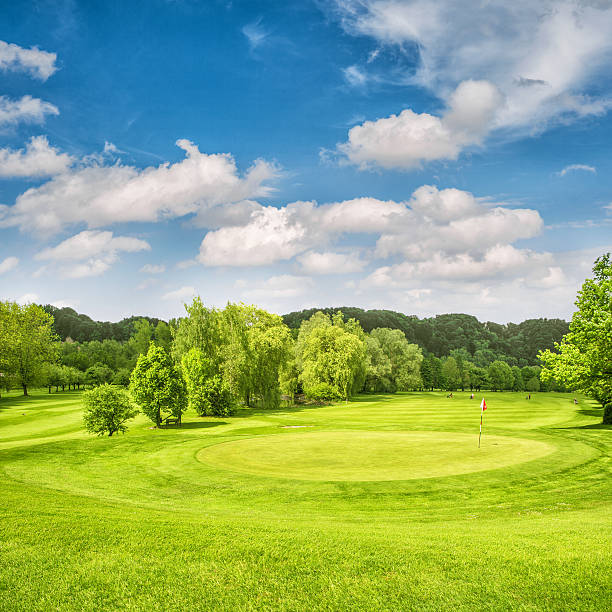 istock Golf course. Spring field with green grass and blue sky 478148474