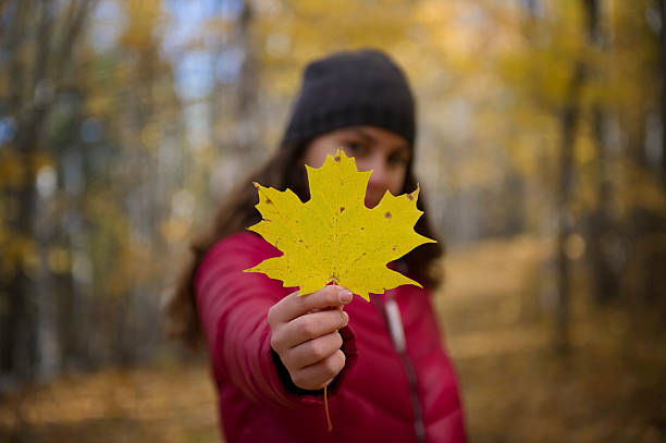 A teenager is holding a yellow maple leaf along a trail during the autumn season. The model is wearing a hat an a red jacket. The ground is covered with fallen leaves.