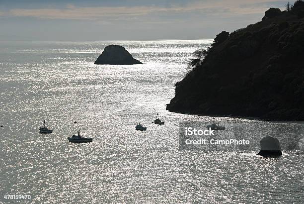 Silhouette Fishing Fleet Stock Photo - Download Image Now - 2015, Bay of Water, California