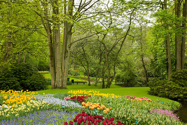istock spring garden Keukenhof, Holland 478159587