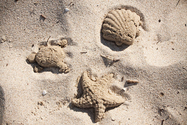istock children play on the beach 478159762