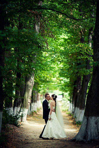 istock wedding. newlyweds kiss between trees in nature 478162745