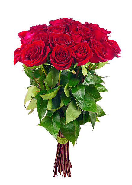 Bouquet of blossoming dark red roses.