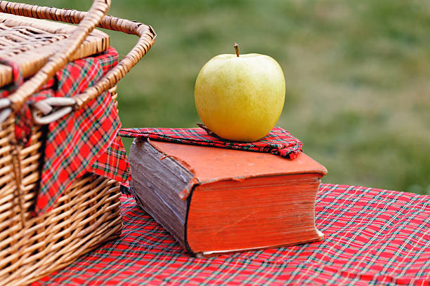 istock Picnic basket and book on the grass 478166538