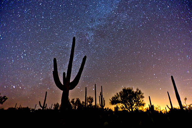 istock Sonoran Desert Stars 478169592