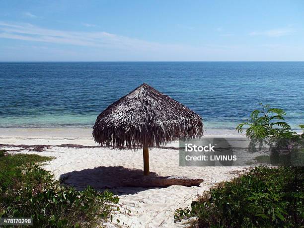 Relaxation Place On Beautiful Remote Caribbean Tropical Climate Beach Stock Photo - Download Image Now