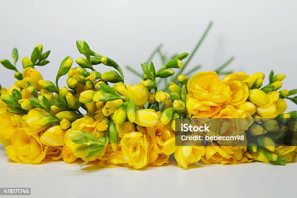 Foto de Freesia Flores Amarelas e mais fotos de stock de Frésia - Frésia,  Amarelo, Primeiro plano - iStock