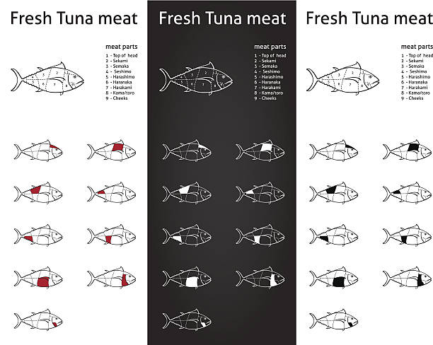 Fresh tuna meat cuts diagram set Set of meat cut parts icons for packaging and info-graphic toro zamora stock illustrations