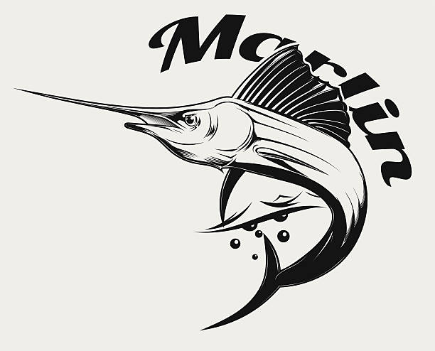 ilustrações de stock, clip art, desenhos animados e ícones de marlim logótipo - marlin sailfish nature saltwater fish