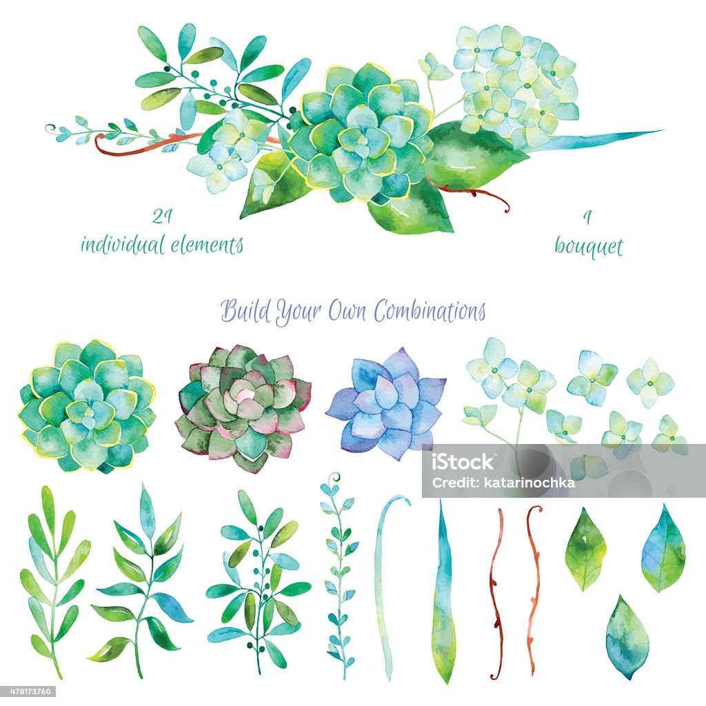 Vector floral set.Colorful colección de flores con Hojas y flores, ilustración acuarela - arte vectorial de Planta suculenta libre de derechos