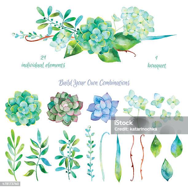 Vector Floral Setcolorful Floral Collection With Leaves And Flowers Drawing Watercolor Stock Illustration - Download Image Now