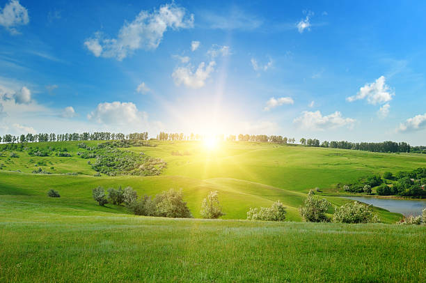 istock field, sunrise and blue sky 478173966