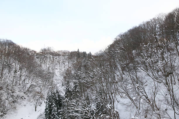istock Winter Landscape with Snow and Trees 478177705