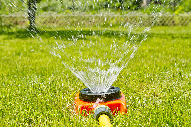 istock Watering green lawn 478179646