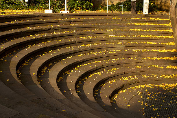 Curved stair filled with Ginkgo leaf in Autumn taken at Waseda University in Tokyo, Japan