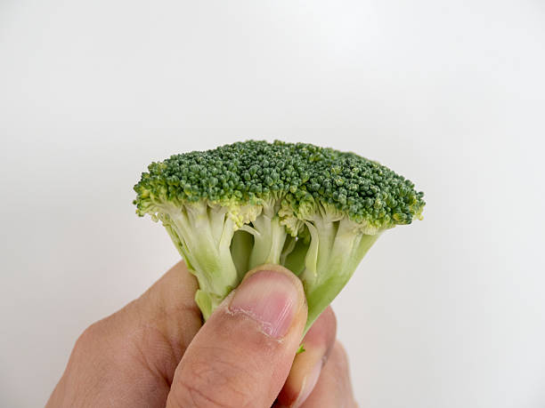 свежие брокколи в исполнение - broccoli raab стоковые фото и изображения