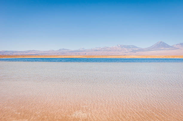 Salar de Atacama - foto de stock