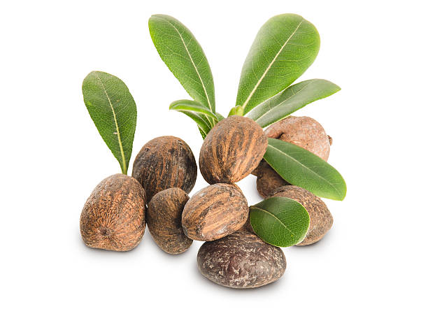 Group of Shea Nuts and leaves stock photo