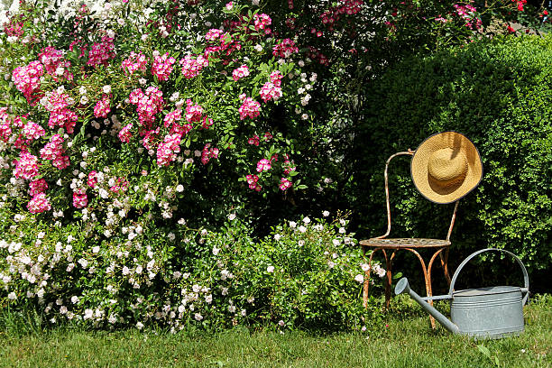 ogród idyll z żeliwa krzesło i kapelusz słoneczny - bush formal garden boxwood flower bed zdjęcia i obrazy z banku zdjęć