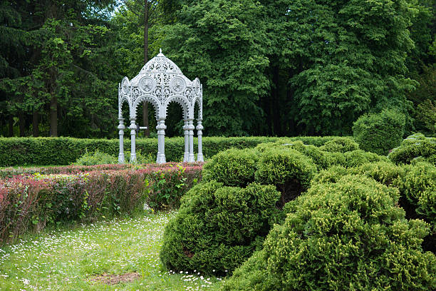 Beautiful park in summer