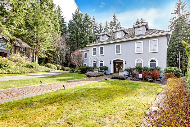 istock Home exterior of large grey classic house with pine trees. 478200407