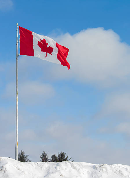 istock Canada Flag in Snow Bank 478200659
