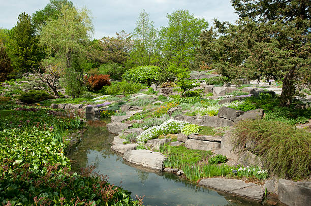 istock Botanical Garden - Montreal - Canada 478206960