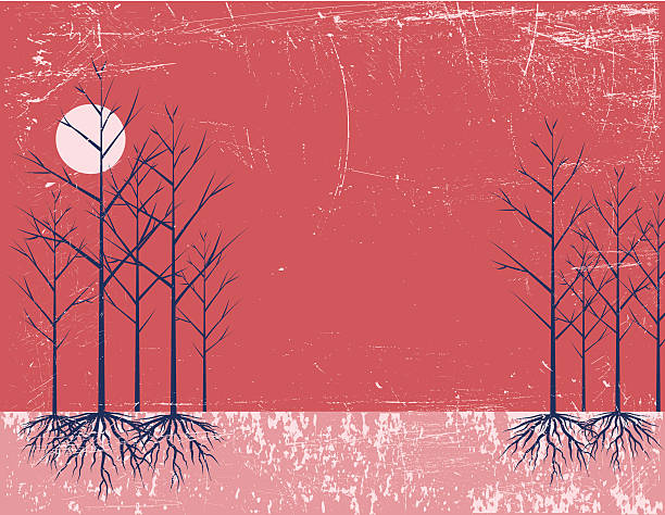 bezlistne drzewo z korzeniami i słońce - bare tree winter sunlight backgrounds stock illustrations