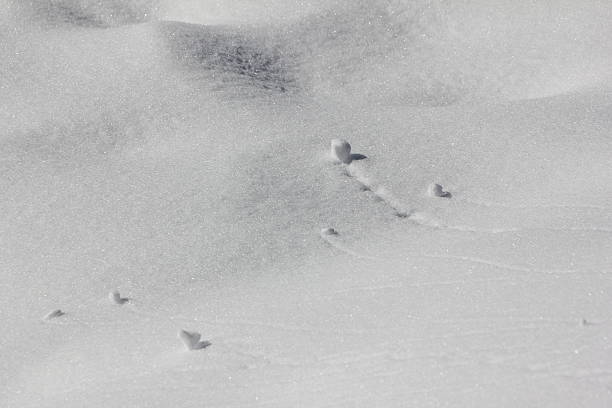 istock Shadow Effects of White Snow and Ice Crystals, Mini Avalanche 478211739