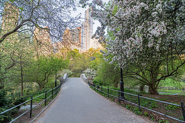 istock Gapstow bridge Central Park, New York City 478212366