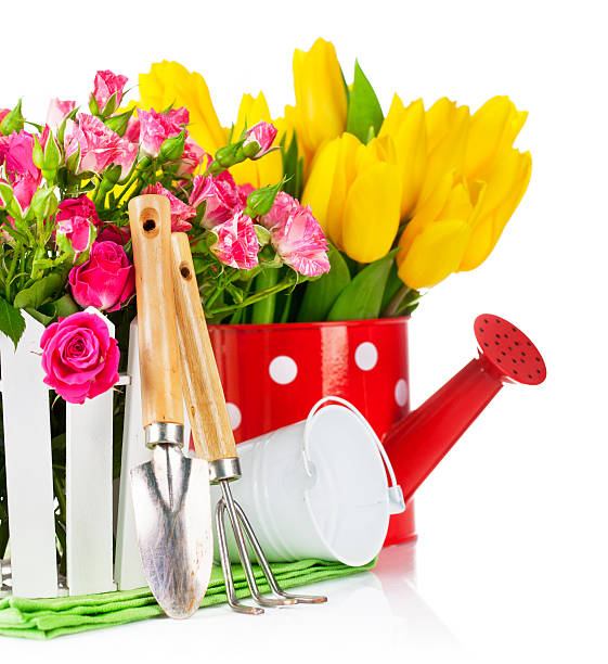 istock Roses and tulips with garden tools 478212393