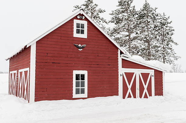istock The Little Red Shed 478212581