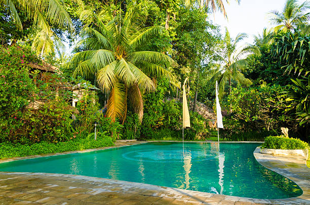 istock blue swimming pool under palms in Bali 478216320