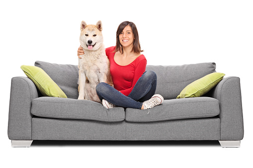 Studio shot of a young girl posing on a gray sofa with her dog and smiling isolated on white background