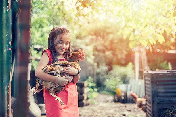 istock Girl hugging a hen 478216490