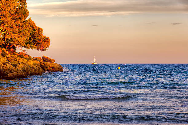 Sailing at sunset. stock photo