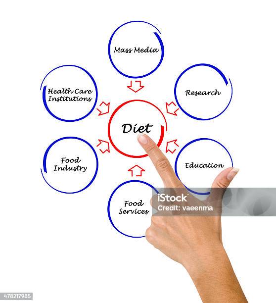 Diet Diagram Stock Photo - Download Image Now - Adult, Care, Concepts