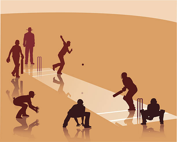 gra mecze - sport of cricket cricket player cricket field bowler stock illustrations