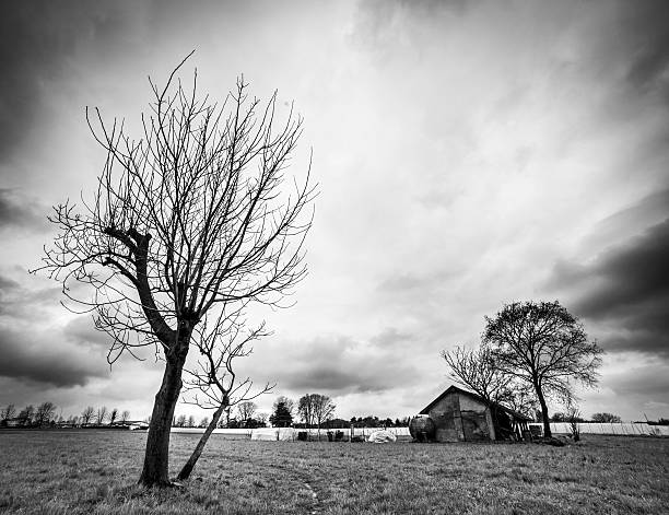 istock Countryside In Winter, Black And White 478218655