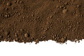 Isolated shot of humus soil border on white background