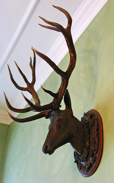 istock Wooden deer head on wall 478223876