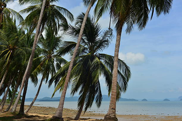 istock Koh Yao Noi, Thailand. 478223942