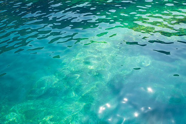 Clear Water on the Mediterranean Sea's Coast