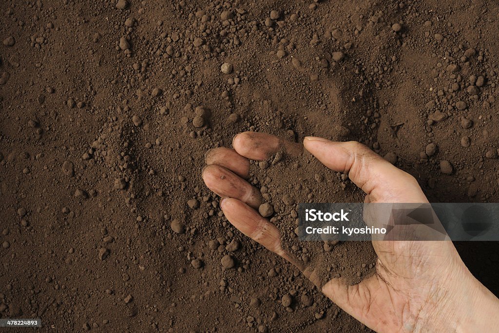 ながら humus 土壌アゲインスト humus 土壌の背景 - 一握りのロイヤリティフリーストックフォト