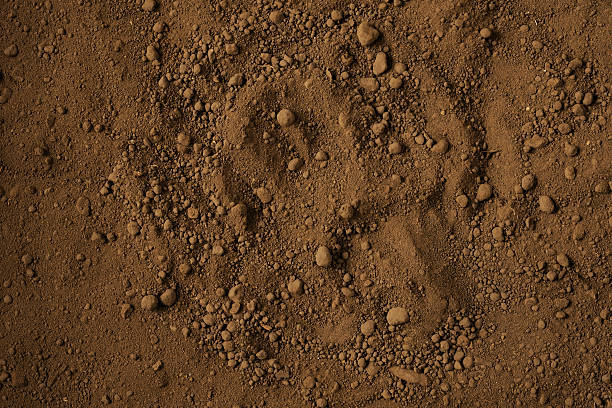 istock Overhead shot of dirt texture background 478224971