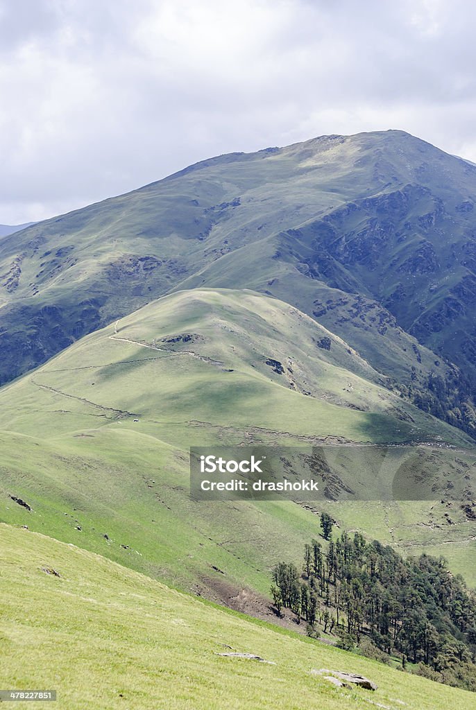 Himalayan Meadows - Zbiór zdjęć royalty-free (Azja)