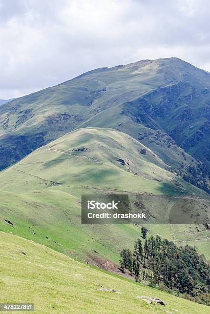 Himalayan Meadows - zdjęcia stockowe i więcej obrazów Azja - Azja, Bez ludzi, Fotografika