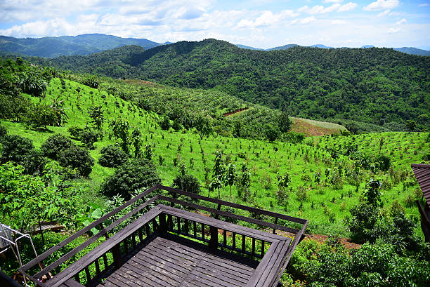 Wood balcony on the mountain blue sky