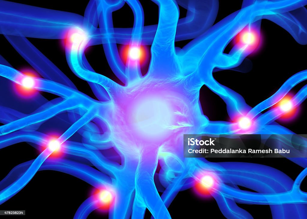 Nerve cells or Neurons Neuron or nerve cells which form part of the nervous system which process and transmit information by electrical and chemical signalling.Neuron or nerve cells which form part of the nervous system which process and transmit information by electrical and chemical signalling. Enjoyment Stock Photo